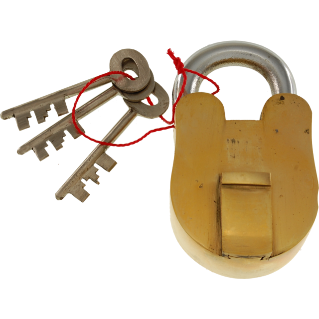 12 Lever Padlock Puzzle by Puzzle Master
